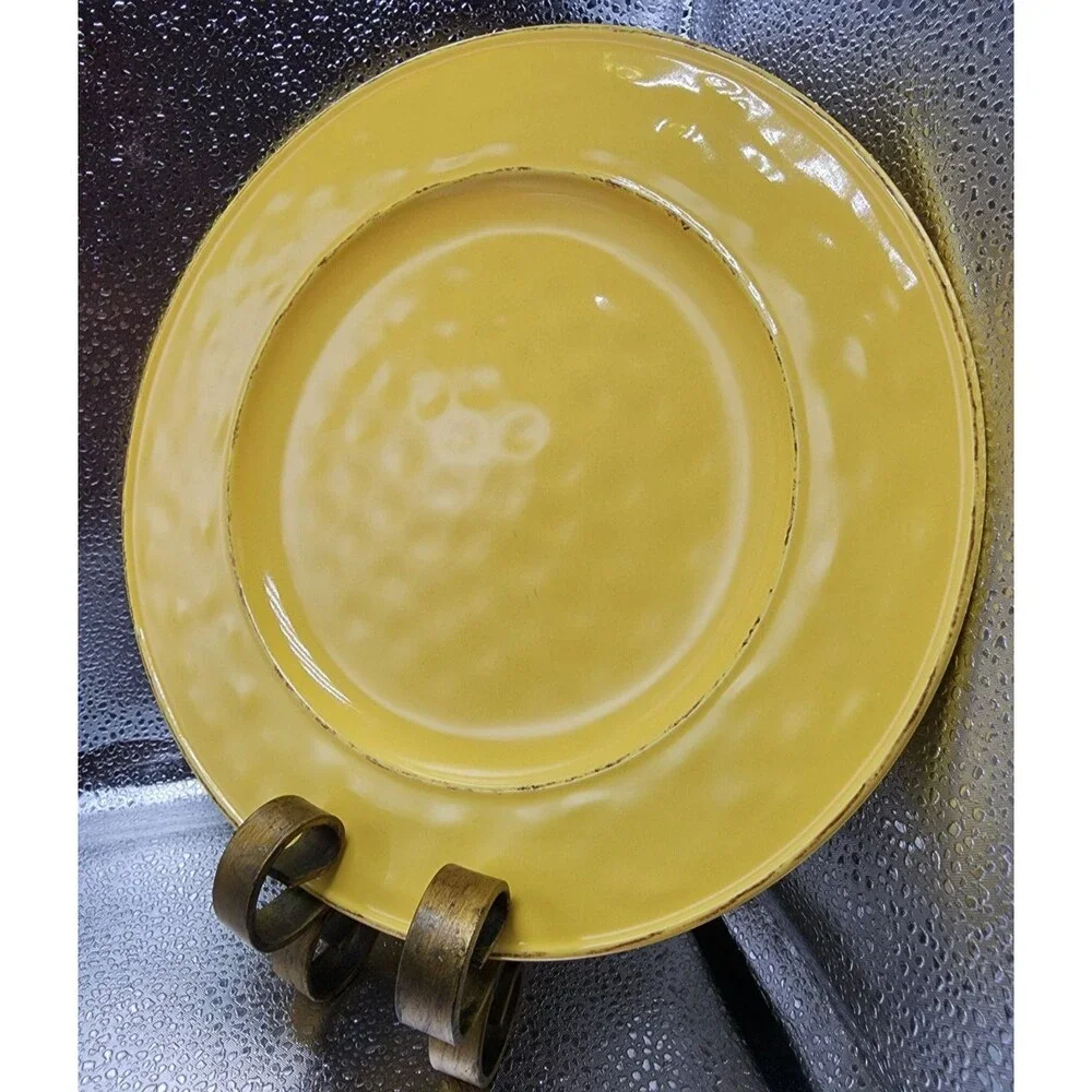 Pier 1 Martillo Mango Stoneware Dinner Plates (Set Of 4) READ!!!!!!!